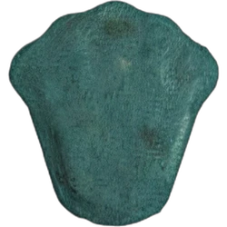 Pil Rolex — MDMA; Unknown — Zwitserland