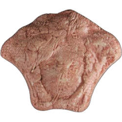 Pil Versace — MDMA — Zwitserland