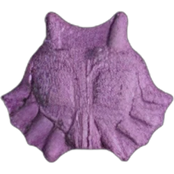 Pil Anonymous — 2C-B; Unknown — Zwitserland