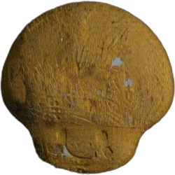 Pil Mushroom — MDMA — Zwitserland
