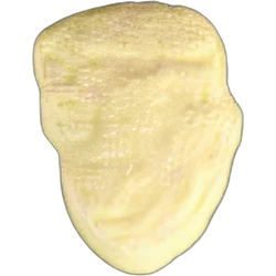 Pil Trump — MDMA — Zwitserland
