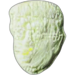 Pil Trump — MDMA — Zwitserland