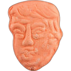 Pil Trump — MDMA; 4-CMC — Zwitserland