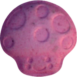 Pil Mushroom — MDMA 158mg — Vienna, Austria