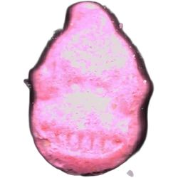 Pil Donkey Kong — MDMA 153mg — Madrid, Spanje