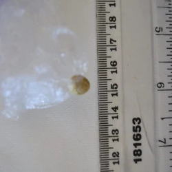 Pil Super Mario — CBD; CBN; THC; CBG — Hertsmere, Three Rivers, St Albans, Watford (WD25), England