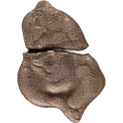 Pil Grim Reaper — MDMA; Unknown — Zwitserland