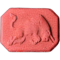 Pil Red Bull — MDMA — Zwitserland