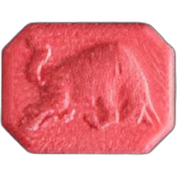 Pil Red Bull — MDMA — Zwitserland