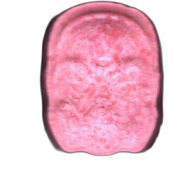 Pil Anonymous — MDMA 174mg — Madrid, Spanje
