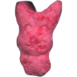 Pil Rabbit — 2C-B 10mg — Madrid, Spanje