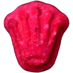 Pil Rolex — MDMA 168mg — Barcelona, Spanje