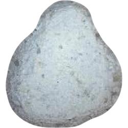 Pil Angry Bird — MDMA 124mg — Vienna, Austria