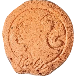 Pil Barbie — MDMA 155mg — Slovenië