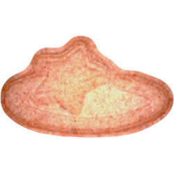 Pil Pop Smoke — MDMA 93mg — Vienna, Austria