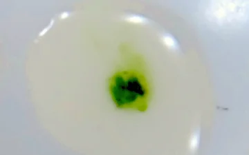 Hoe herken je nep-LSD?
