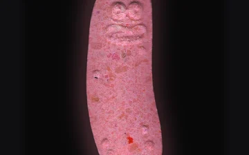 Pickle Rick-pillen (Ecstasy / MDMA)