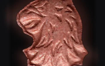 Griffin-pillen (2C-B)