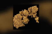 Rapport drugszuiverheid: week 34, 2026