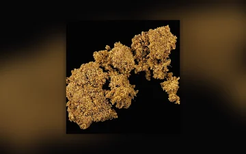 Rapport drugszuiverheid: week 34, 2026