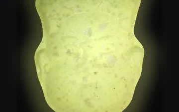 NL-pillen (Ecstasy / MDMA)