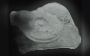 Tocadiscos-pillen (Ecstasy / MDMA)
