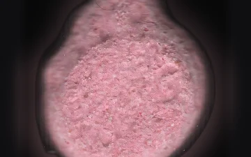 Burguer King-pillen (Ecstasy / MDMA)