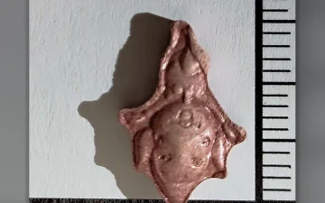 Tingle-pillen (2C-B)