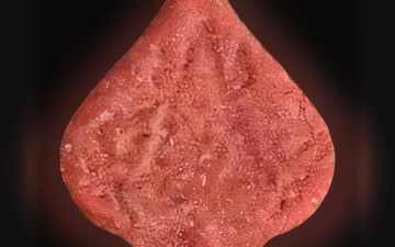Pica-pillen (Ecstasy / MDMA)