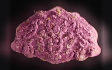 Skype-pillen (Ecstasy / MDMA)