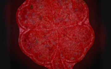 Four-Leaf Clover-pillen (Ecstasy / MDMA)