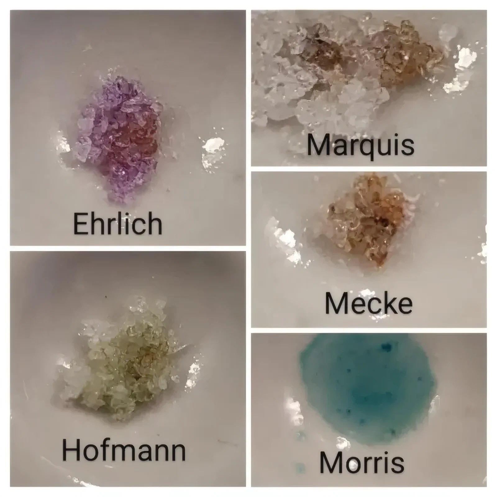 4-PrO-MET, 4-AcO-MET en 4-HO-MiPT: de nieuwe tryptamines