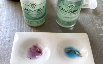 Instructies Cannabis-reagenstest