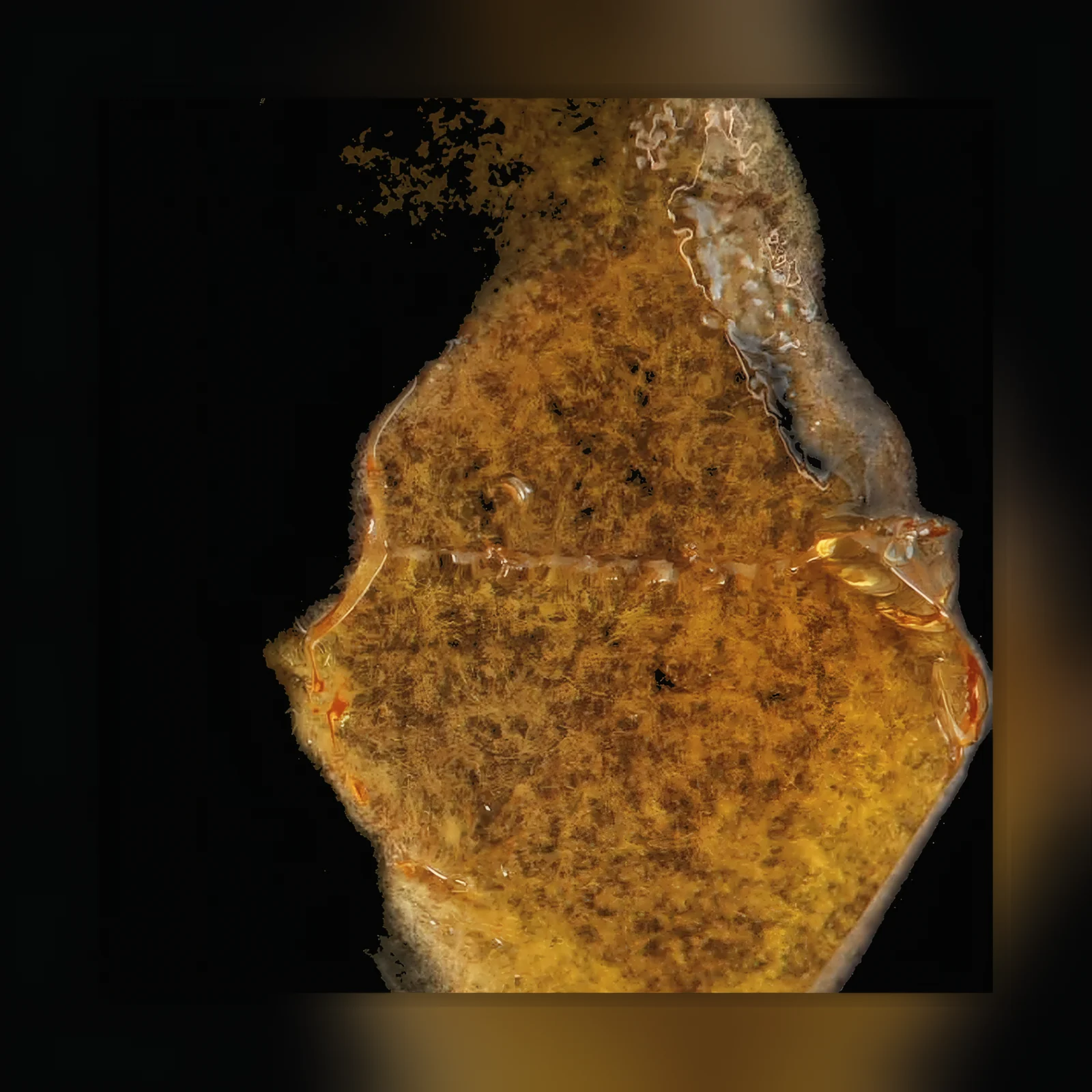 Delta-8-cannabisolie