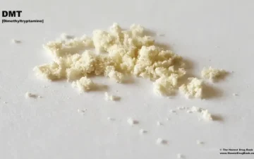 DMT-poeder