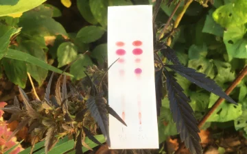 Cannabistop naast een PRO Test-kit voor cannabinoïden