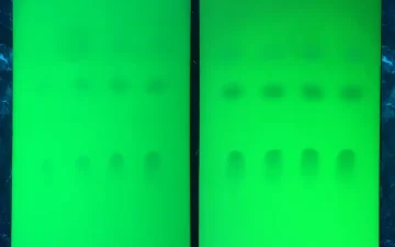 TLC-testkaarten onder uv-licht