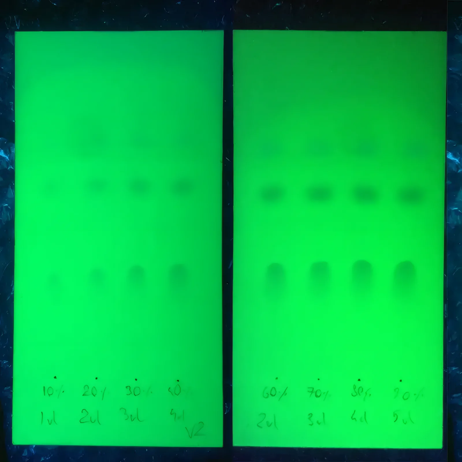 TLC-testkaarten onder uv-licht