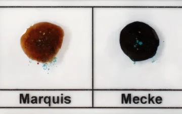Amfetamine of meth in MDMA herkennen