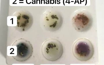 Reagenstest op cannabis