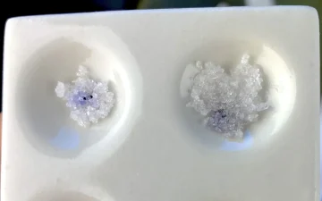 Hoe test je LSD?