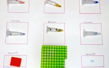 LSD-geltabs testen met Ehrlich- en Hofmann-reagens: kleurenkaart