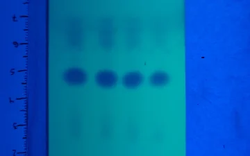Zuiverheidstestkits voor amfetamine, MMC en CMC
