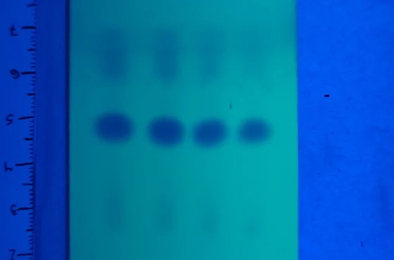 Zuiverheidstestkits voor amfetamine, MMC en CMC