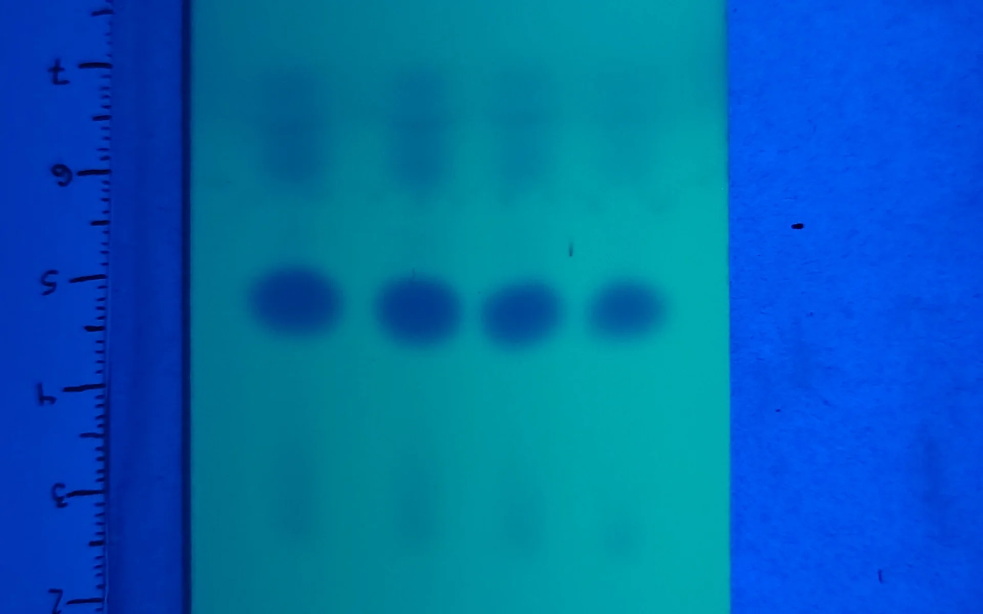 Zuiverheidstestkits voor amfetamine, MMC en CMC
