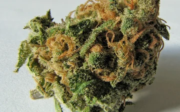 Wat is THC?