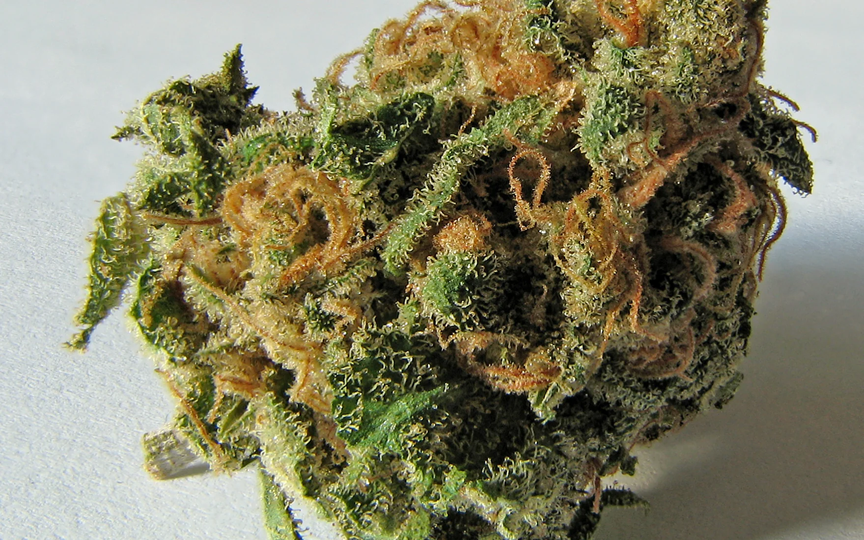 Wat is THC?