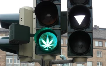 Wat zit er in cannabis- en CBD-producten?