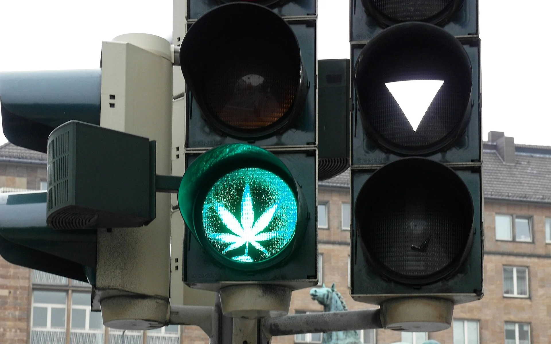 Wat zit er in cannabis- en CBD-producten?