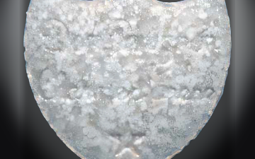 Botella De Champagne-pillen (Ecstasy / MDMA)
